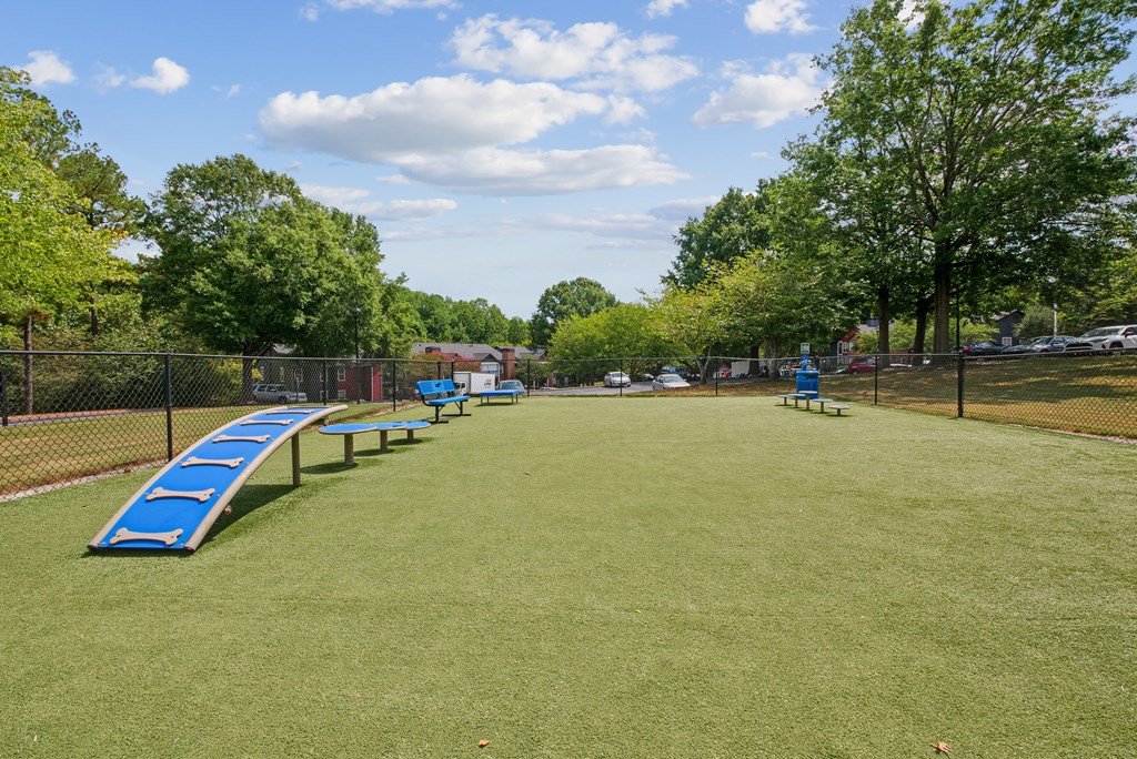 Dog Park A park with a blue slide and green grass at Elme Druid Hills, Atlanta, Georgia